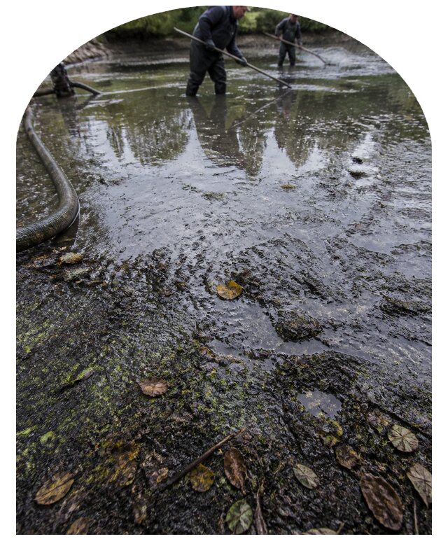 Очистка пруда в Златоусте от ила мусора и водорослей с вывозом